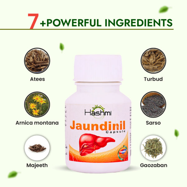 Jaundinil Capsules (20 Capsules - Image 4